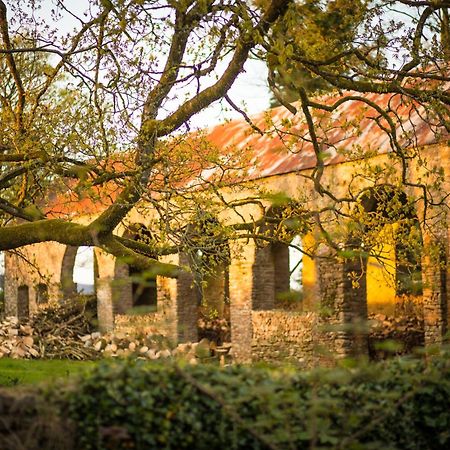 Roundwood House Hotel Mountrath Ngoại thất bức ảnh